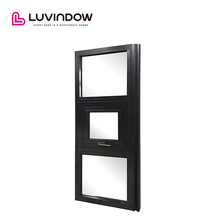 Aluminum Single Hung Black Windows