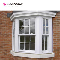 USA Long Beach nice Best sale new paining double hung windows argon filled double hung window