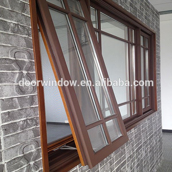 China Big Factory Good Price vertical awning windows top hung window stays sash - Doorwin Group Windows & Doors