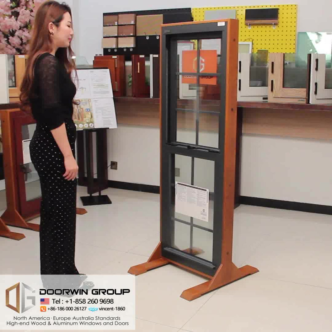 Factory Hot Sales new design models grill design aluminum single hung window - Doorwin Group Windows & Doors